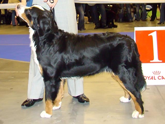 ULLA-UTTARD_BRISKLANE ULLA-UTTARD_BRISKLANE