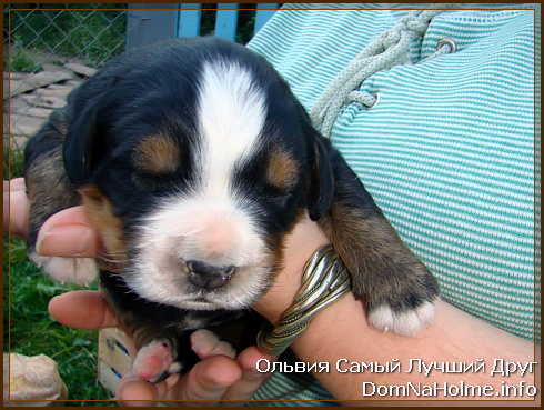 olya200904 olya200904