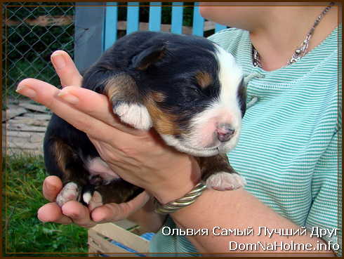 olya200906 olya200906