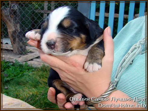 olya200907 olya200907