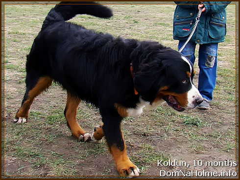 koldun01 koldun01