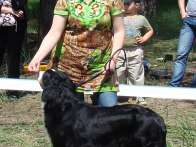 Berta1