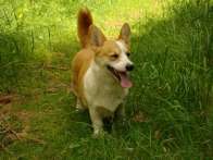 d_06_2010_01