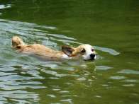 d_06_2010_02