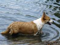 d_06_2010_03