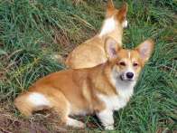 58_Magnic_13112010
