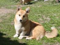 Niniana2010_04_20