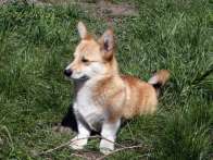 Niniana2010_04_22