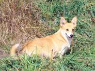 Niniana2010_10_26
