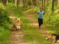 corgies2010_06_18