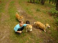corgies2010_06_19