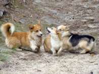 d_06_2010_07