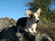 Pack2009_08_29