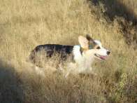 Pack2009_08_30