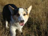 Pack2009_08_31