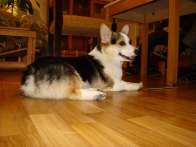 Pack2009_11_33