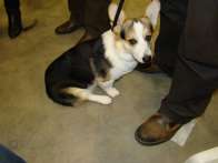 Pack2009_12_35