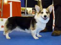 Pack2009_12_37