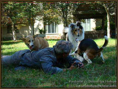 pastoral31