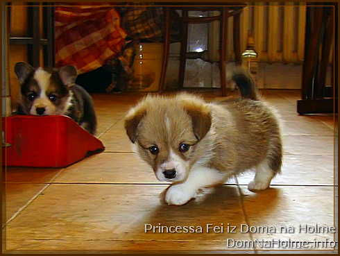 princess09