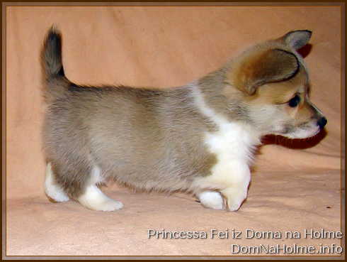 princess11