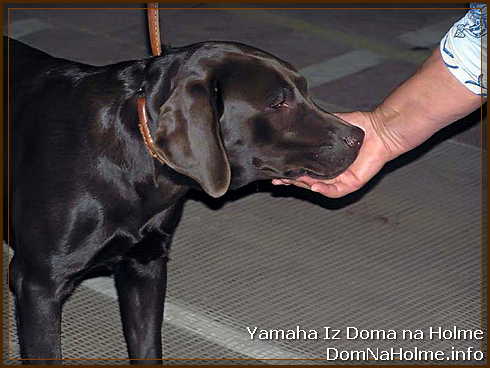 Yamka1 Yamka1