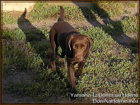 Yamka3 Yamka3