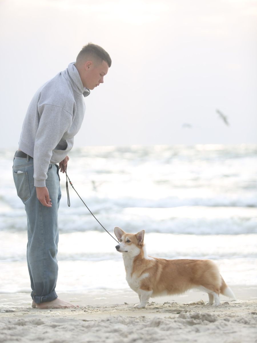 Canestrelli Rozalia Light Dream