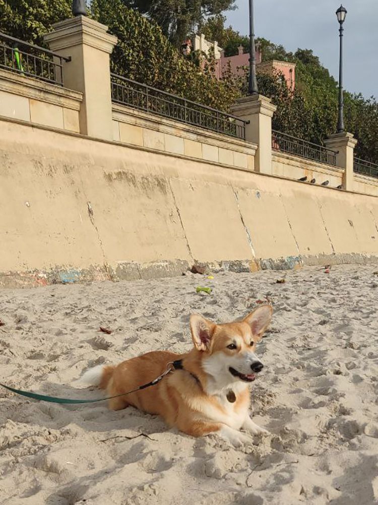 Canestrelli Rozalia Light Dream