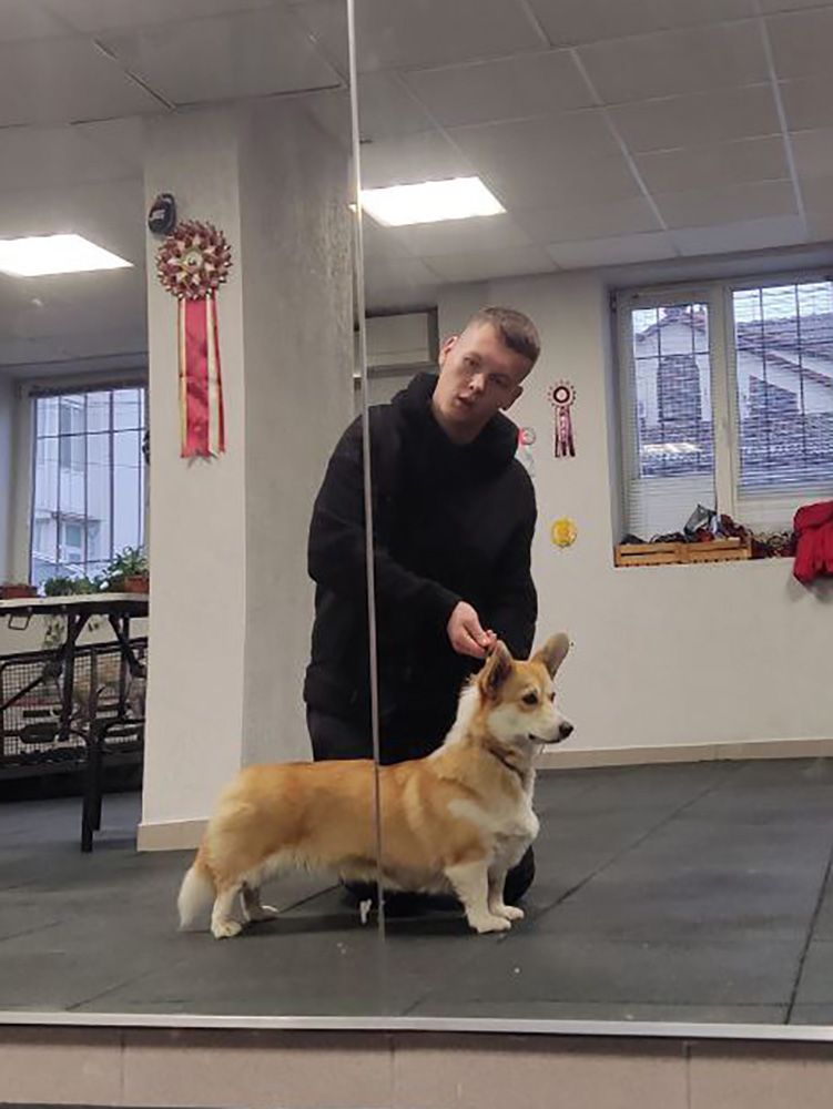 Canestrelli Rozalia Light Dream