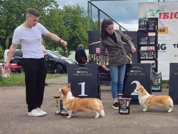 Canestrelli Rozalia Light Dream